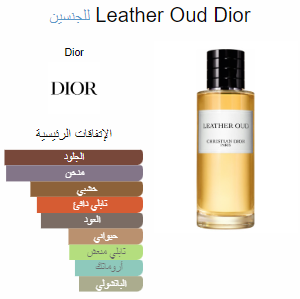 Leather Oud Dior